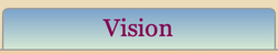 Vision